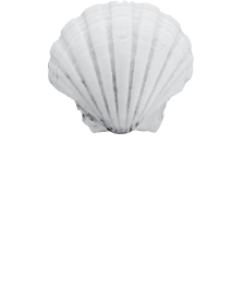 cd logo text and shell 1